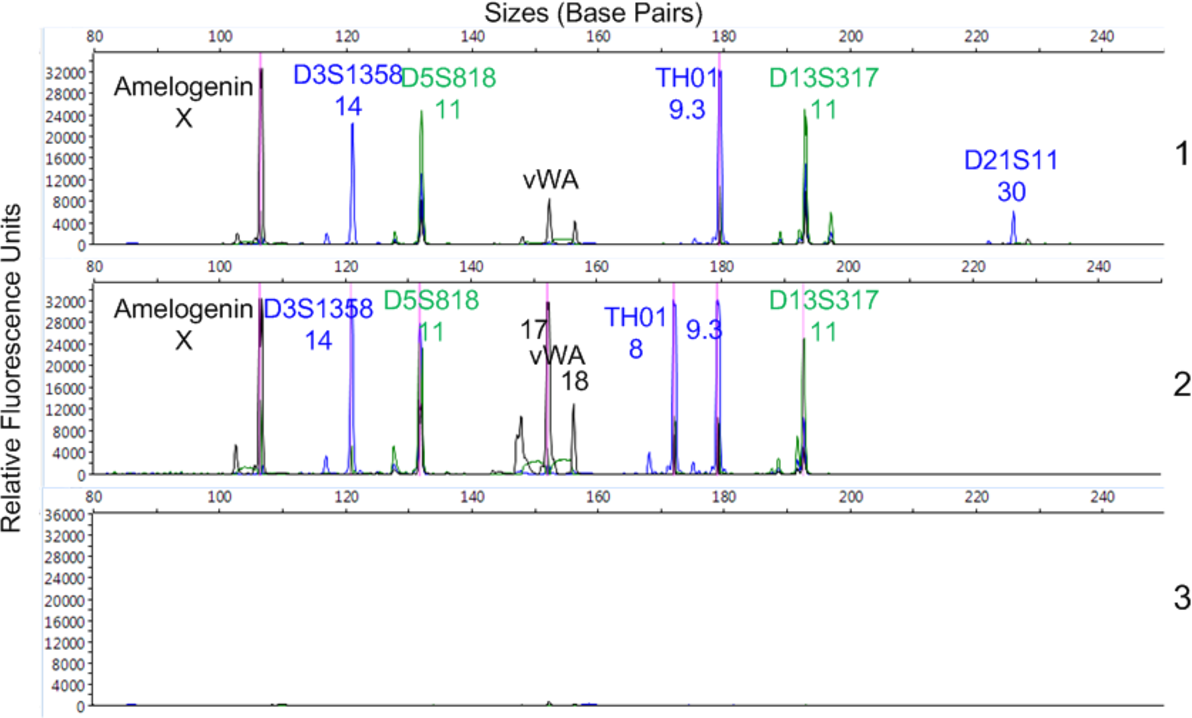 DNA Fingerprinting