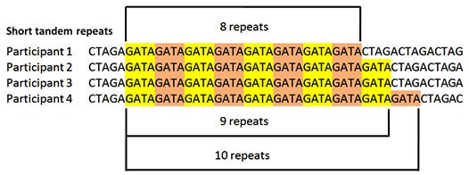 FROM BODY CELL TO GENES & DNA