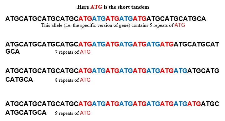 FROM BODY CELL TO GENES & DNA